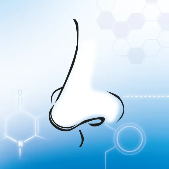 Nasal preparations